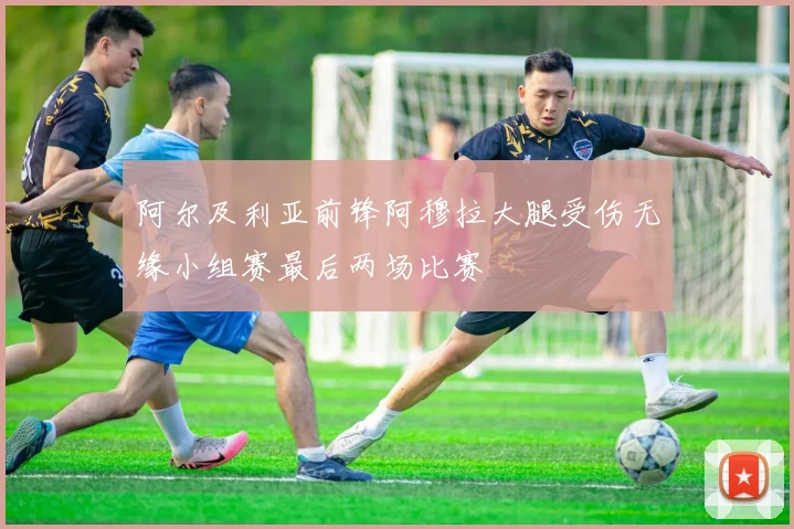 阿尔及利亚前锋阿穆拉大腿受伤无缘小组赛最后两场比赛