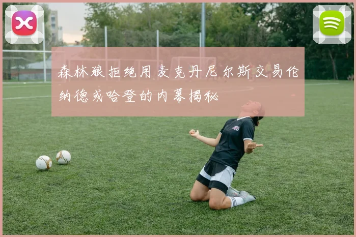 森林狼拒绝用麦克丹尼尔斯交易伦纳德或哈登的内幕揭秘