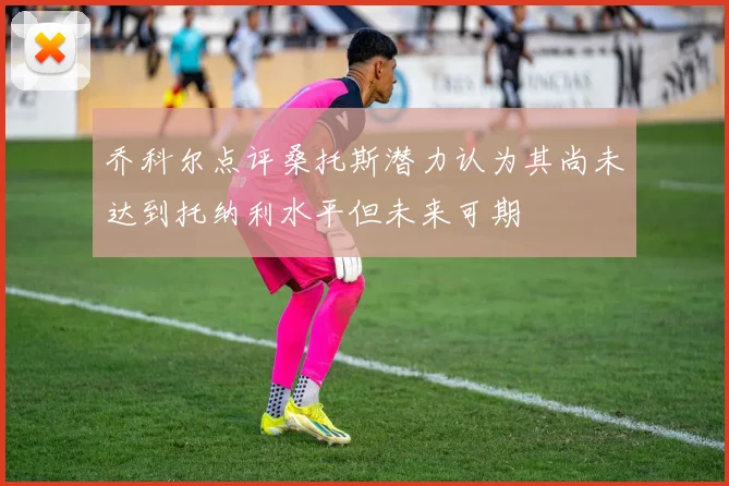 乔科尔点评桑托斯潜力认为其尚未达到托纳利水平但未来可期
